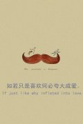 清新的个性文字图片