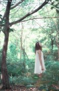 森系唯美的qq女生皮肤