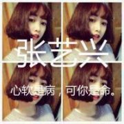 女生自制的张艺兴头像