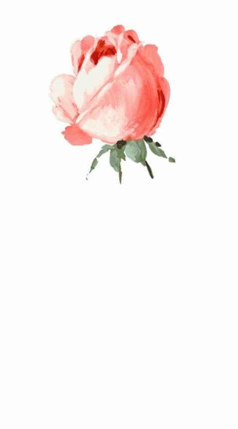 ¼ԼͼƬ