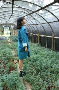 好看的女生个性皮肤