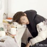 简单的个性鹿晗头像