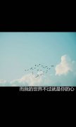 意境的个性qq文字皮肤