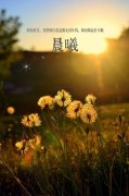 风景唯美帯字的皮肤