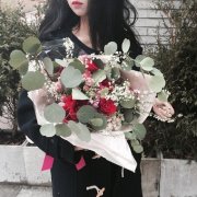 qq女生唯美的最新皮肤