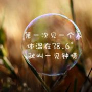 简单的纯文字qq头像大全 不想不念不寂寞