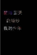 个性简单的文字清新皮肤