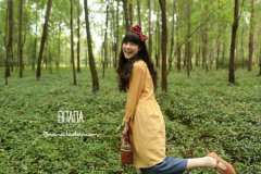 ƻʹĲ಻ϣڵϡ