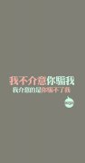 简约的qq文字清新皮肤