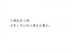 唯美的带字个性简约皮肤