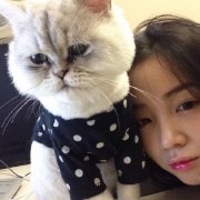 女生可爱的清新qq最新皮肤