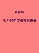 很萌简约的个性皮肤