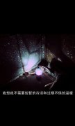 唯美简单的文字图片