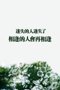 qq文字个性简约皮肤