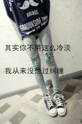 帯字的简单的可爱皮肤