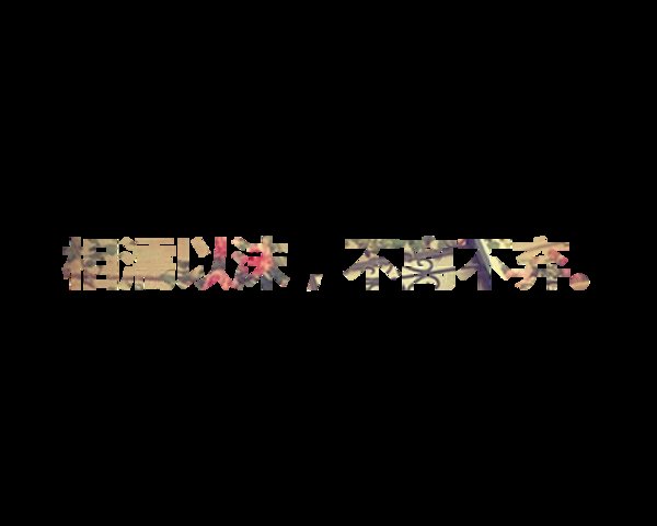 唯美简约的花体字图片