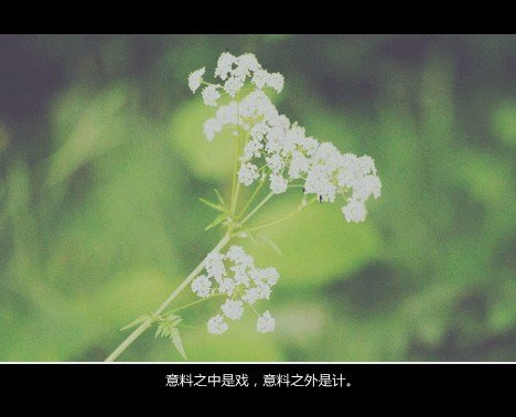 ֵ¸qqͼƬ