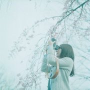 小清新唯美的qq女生皮肤