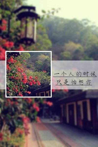 唯美的个性带字女生皮肤