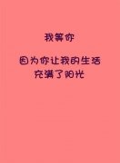 粉色简单的文字图片