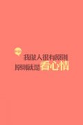 小清新创意的个性皮肤