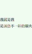 简约好看的文字个性皮肤