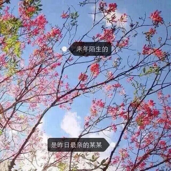 羰ΨĴͼƬ