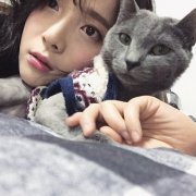 简单的可爱清新女生皮肤