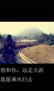 qq简单的可爱清新皮肤