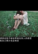 意境的伤感文字qq皮肤
