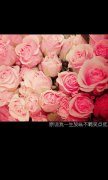 简约的唯美文字清新皮肤