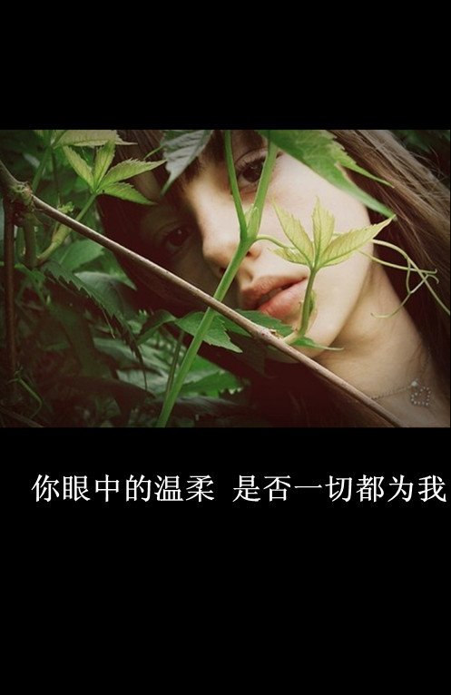 简约的唯美文字清新皮肤