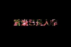 可爱清新的简单文字图片
