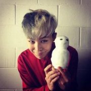 权志龙最新的个性头像大全2016