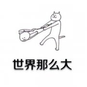 搞笑的带字的简单个性图片
