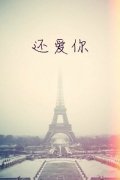 埃菲尔铁塔帯字的简约皮肤