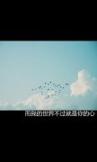 简单的意境帯字qq皮肤