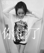 帯字的清新简单个性皮肤
