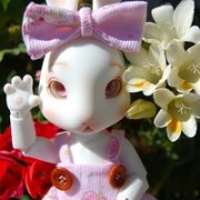 玛丽莲萌兔qq表情头像