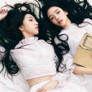 姐妹气质的简单qq皮肤