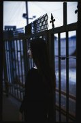 女生清新的唯美意境皮肤