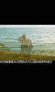 清新的帯字简约qq皮肤