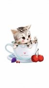 猫咪可爱的个性简单图片
