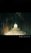 意境带字的简约皮肤