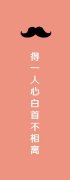 清新的情侣qq个性皮肤