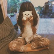 女生个性的qq可爱皮肤