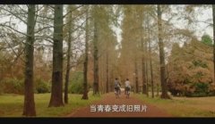 小时代意境带字清新截图