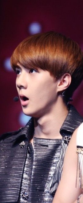 EXO˧Ƥ