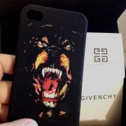 时尚潮流的欧美单品图片