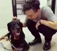 陈奕迅气质的个性简单图片